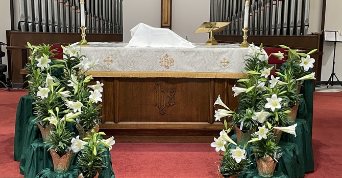 Sights and Sounds of the Season