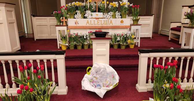 Spring Flower Fundraiser