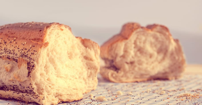 Worship Service-March 1, 2026 image