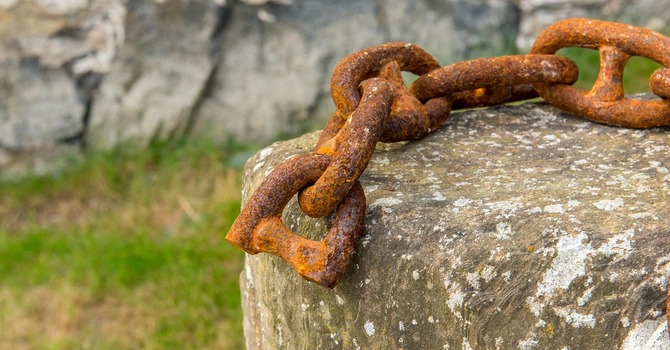 Devotions in Preparation for Sunday, March 8th image