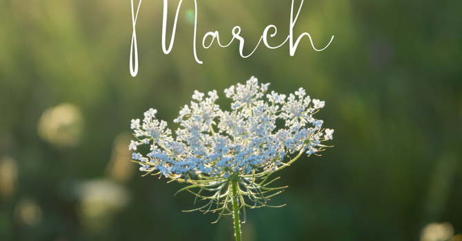 Bulletin | March 6, 2026