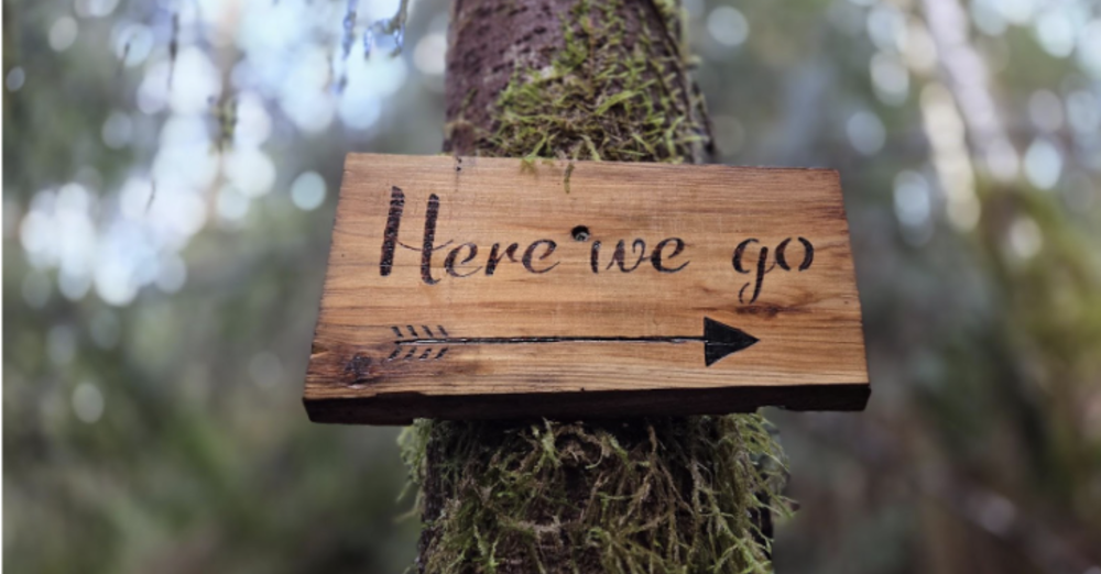 Ladies Walk/Hiking Group