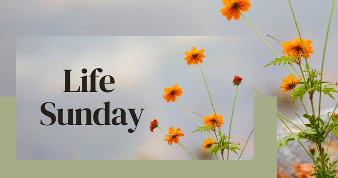 Life Sunday!