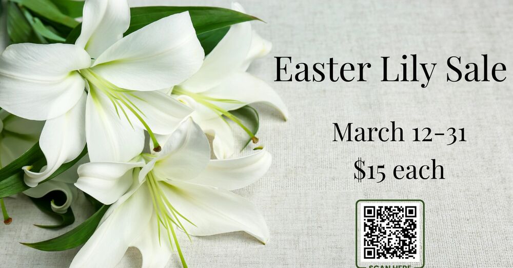 Easter Lily Sale