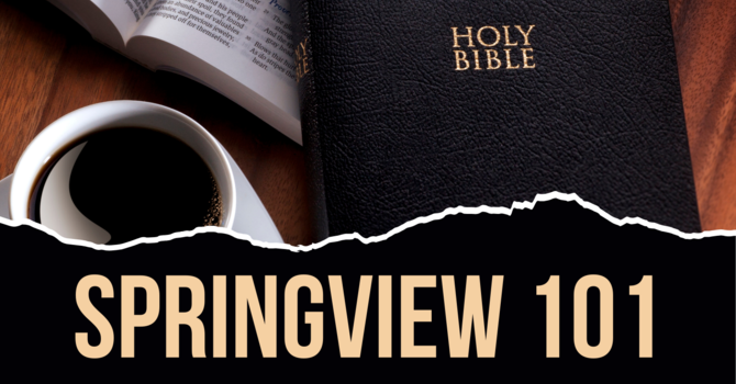 Springview 101
