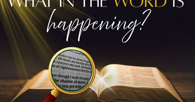 What In The Word Is Happening 