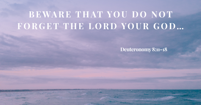 The Danger of Forgetting image