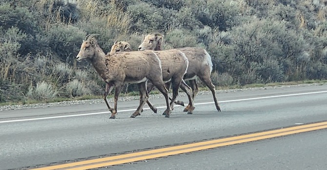 The Dean's visit in Ashcroft & Spences Bridge