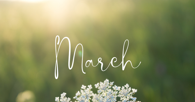 Bulletin | March 29, 2026