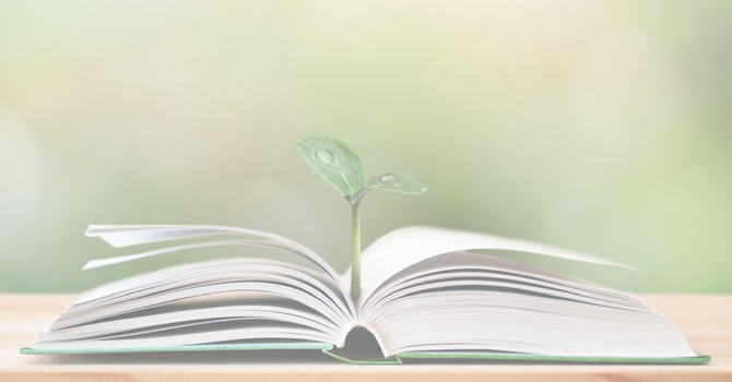 Adult Sunday School: Stories That Matter. 