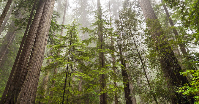 The devil is in the details 