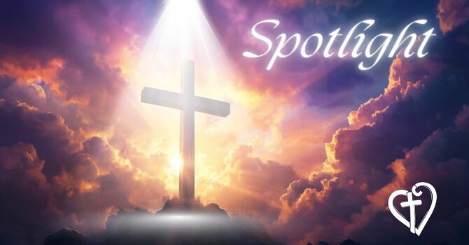 Spotlight: Is Where You're Looking for Life, Giving You Life?