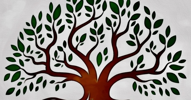 "Planting Hope" Native Plant Give Away Day at Trinity Lutheran Church