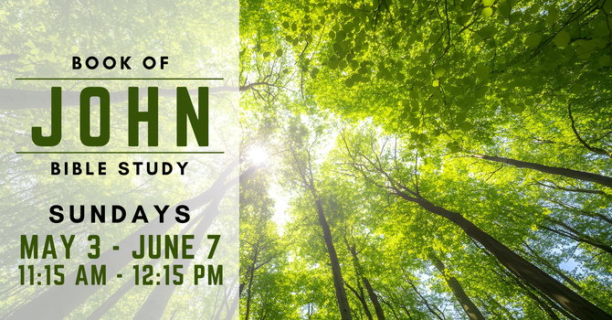 Book of John Bible Study