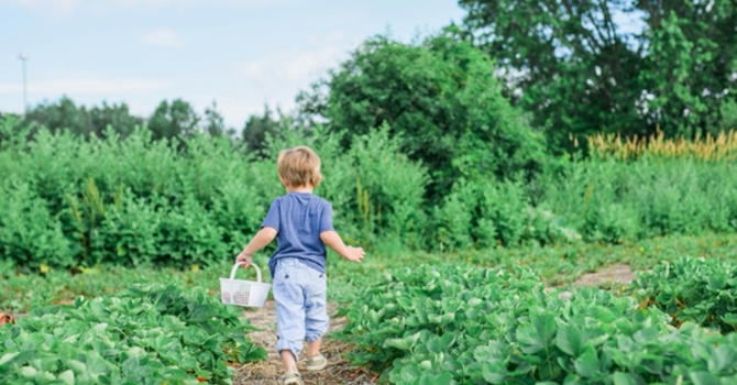 Rev. Karen's Reflection for Easter 3