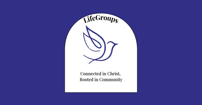 LifeGroup Leader Training  image