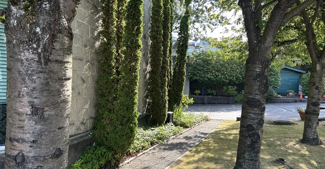 In Memorium - John Foley