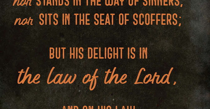 Fighter Verse | April 19, 2026