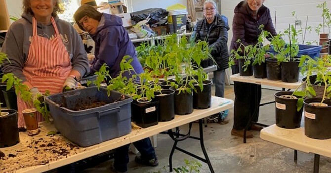 Williams Lake planting bee