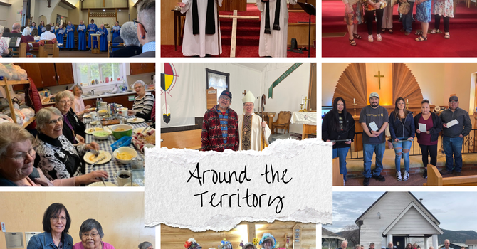 Territory Bulletin image