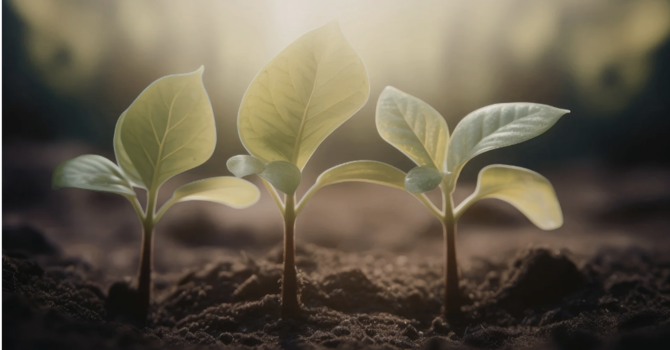 May 2026: A Letter from Pastor Tim