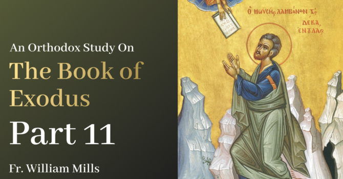 Exodus: Part 11