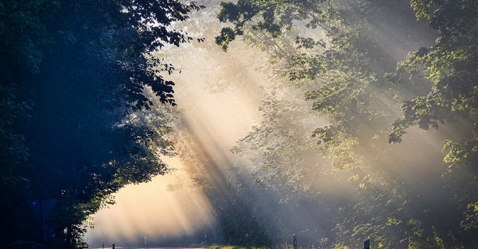 Devotions in Preparation for Sunday, May 31st image