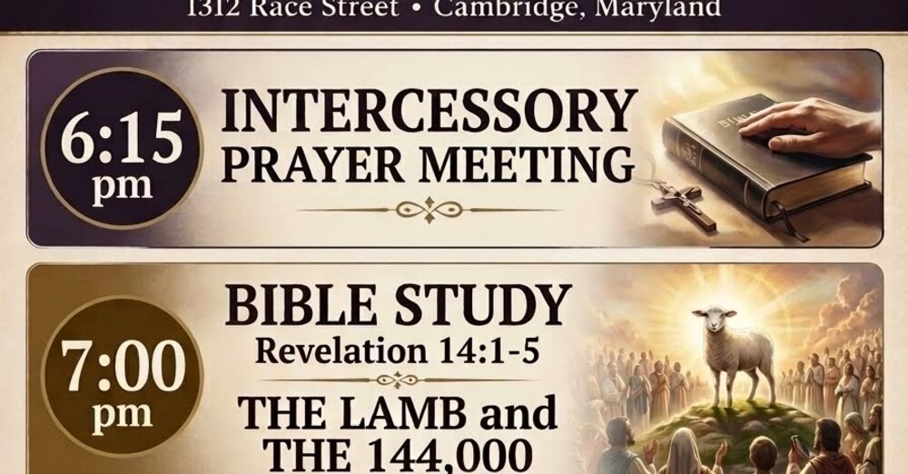 Bible Study