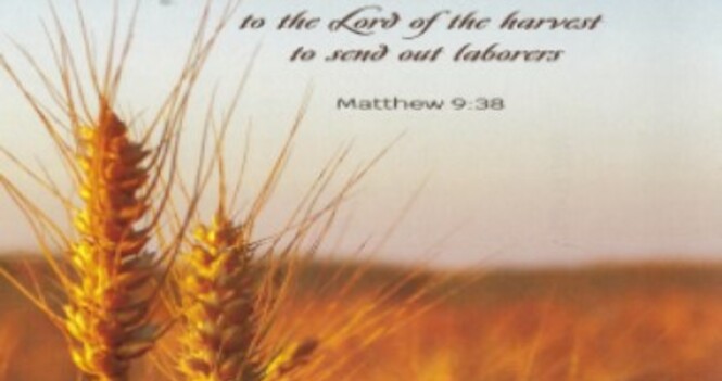 Worship Service - Third Sunday After Pentecost
