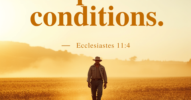 Don’t Wait for Perfect Conditions image