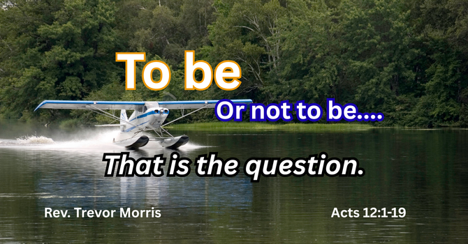 To be or Not to be...