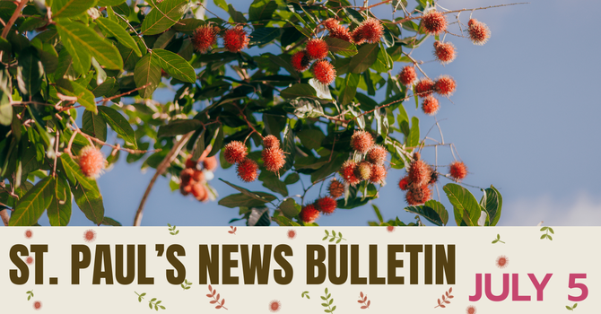 July 5 News Bulletin  image