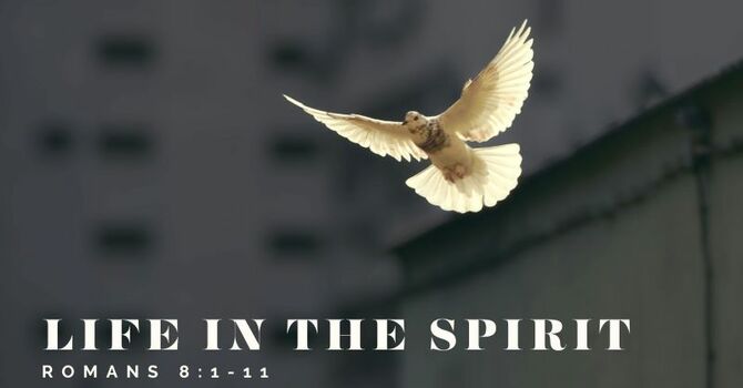 Life In the Spirit