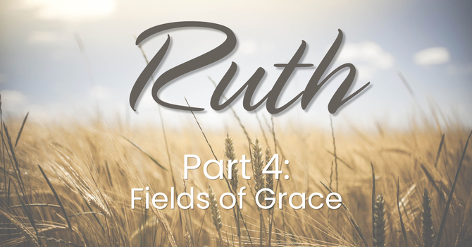 Fields of Grace