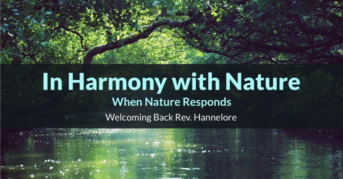 In Harmony with Nature