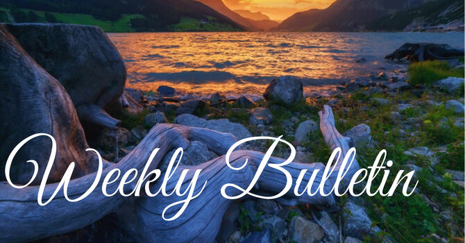 Bulletin for August 8 & 9, 2026
