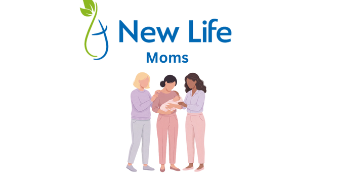 New Life Moms 
