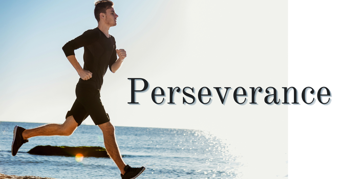 Weekly Newsletter