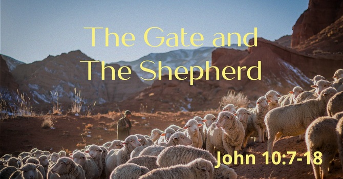 The Gate and The Shepherd