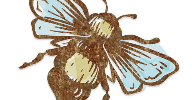 NEWS FROM ROOT REVIVAL: BEES