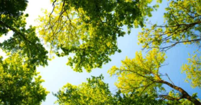Bulletin for 8-30-26