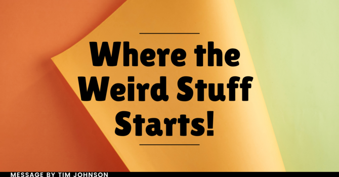 Where the Weird Stuff Starts!