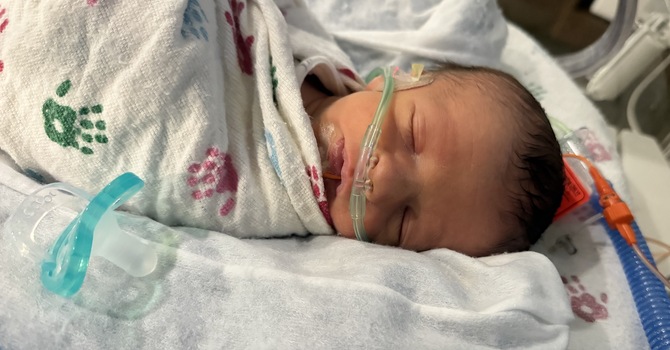 Welcome Henry & James Chappell!