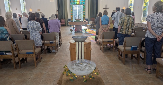 Sermon on the First Sunday of the Season of Creation