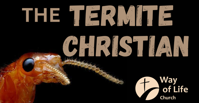 The Termite Christian