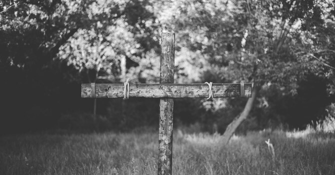 Discipline on Studying the Word