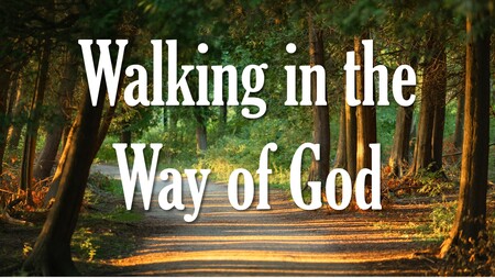 Walking in the Way of God