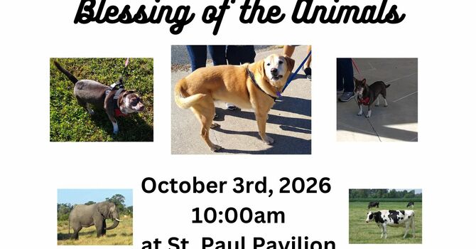 blessing of the animals