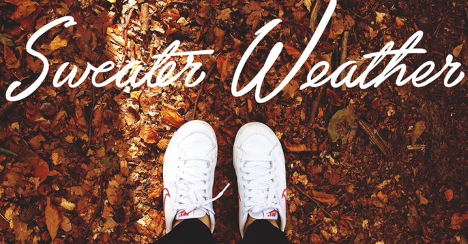 Weekly Update