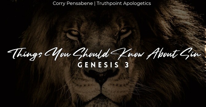 Things You Should Know About Sin
